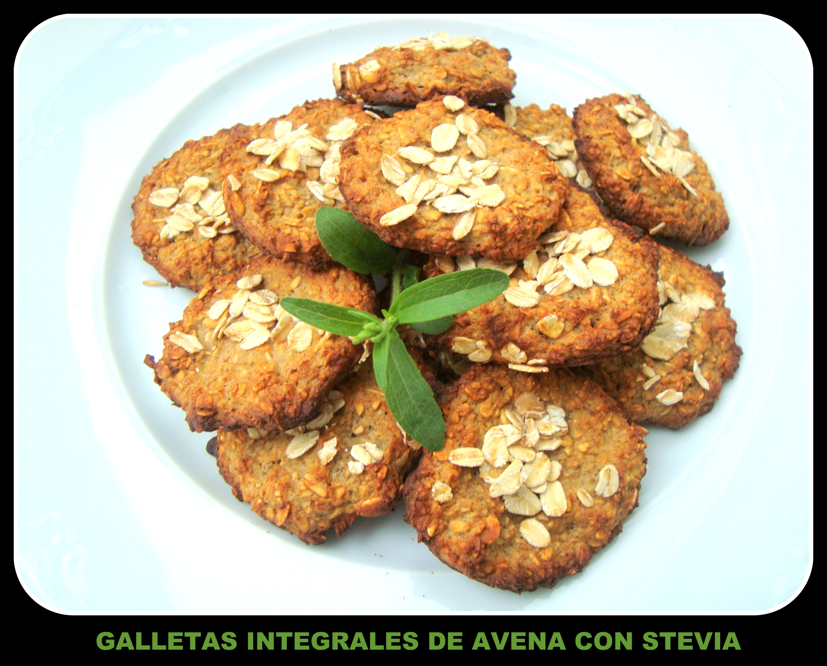 Galletas Integrales De Avena Con Stevia